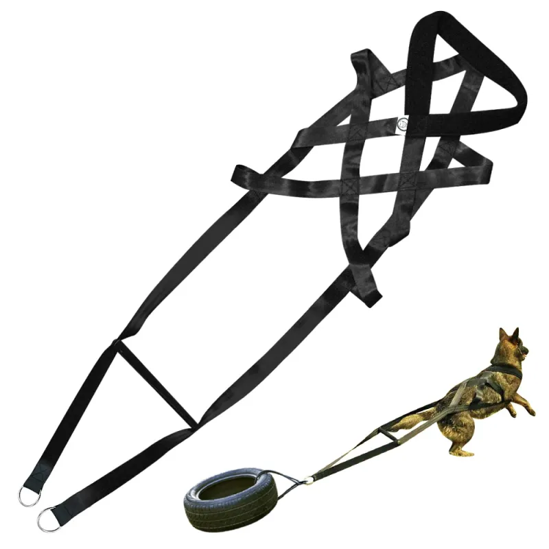 Harnais de Dressage pour Chiens avec Poignées et Cerceaux - Robuste et Réglable – Image 4