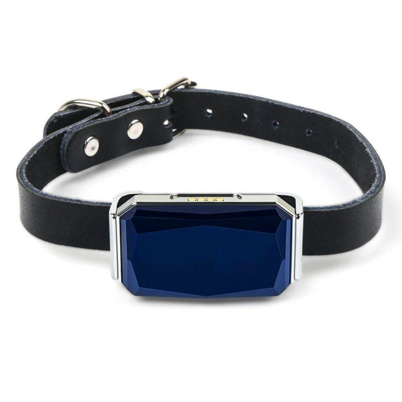 Traceur Gps Rechargeable Pour Chiens Avec Collier Et Usb – Image 2