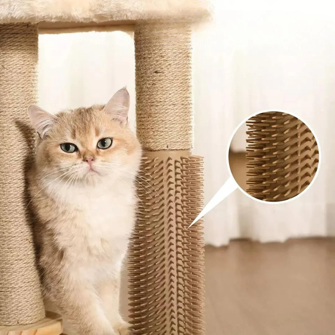Salon de jeu et de grattage pour chats – Image 3