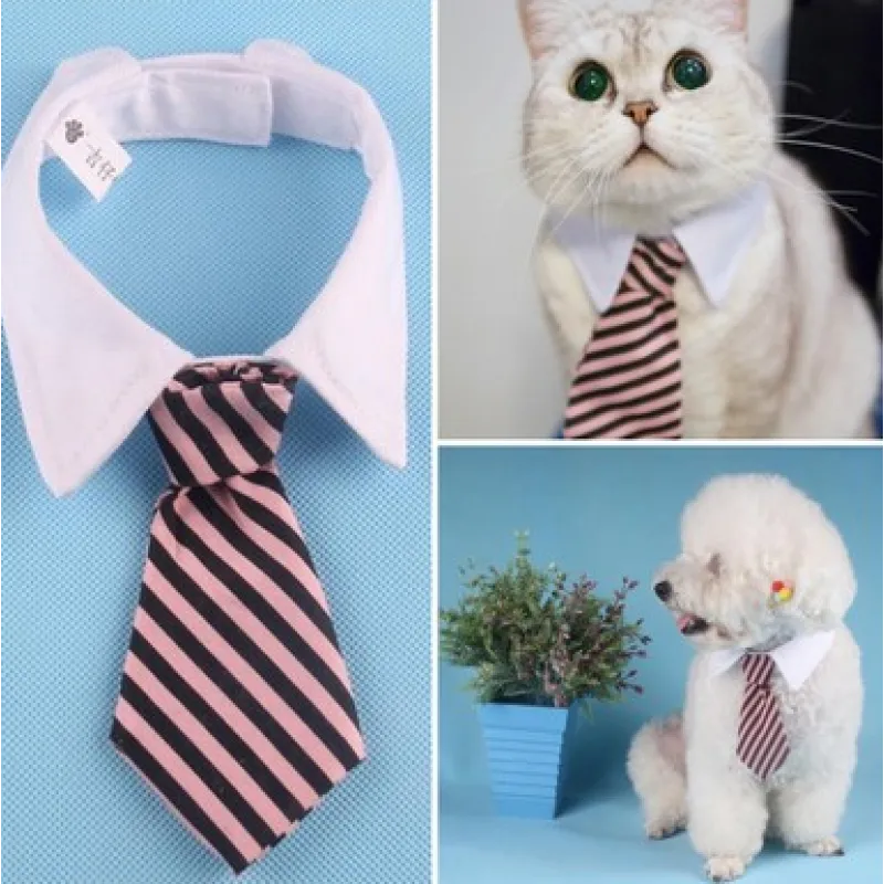Col Élégant Pour Animaux De Compagnie Avec Cravate Pour Chiens Et Chats – Image 6