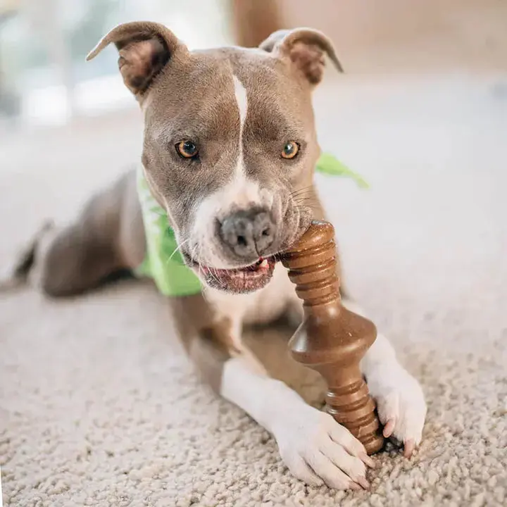 Benebone - Zaggler - Jouet pour chien – Image 9
