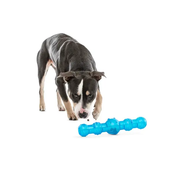 Guru - Bâton de shaker pour chien – Image 3
