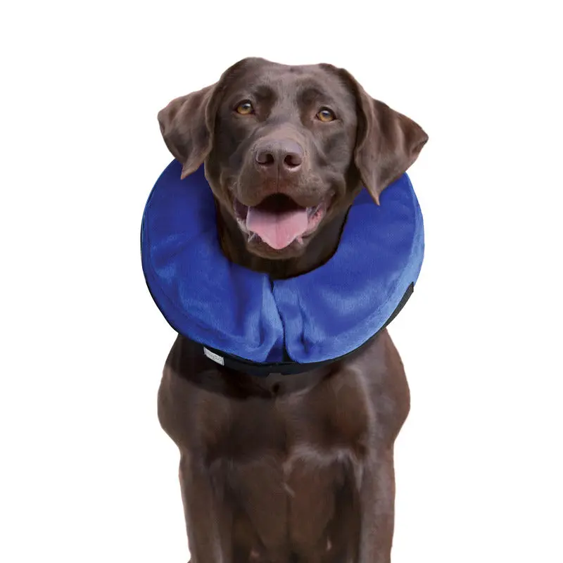 KONG - Cloud Collier de protection pour chien – Image 2