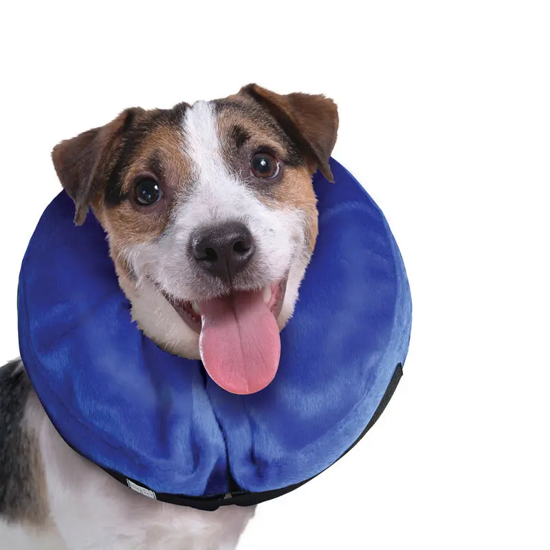 KONG - Cloud Collier de protection pour chien – Image 6