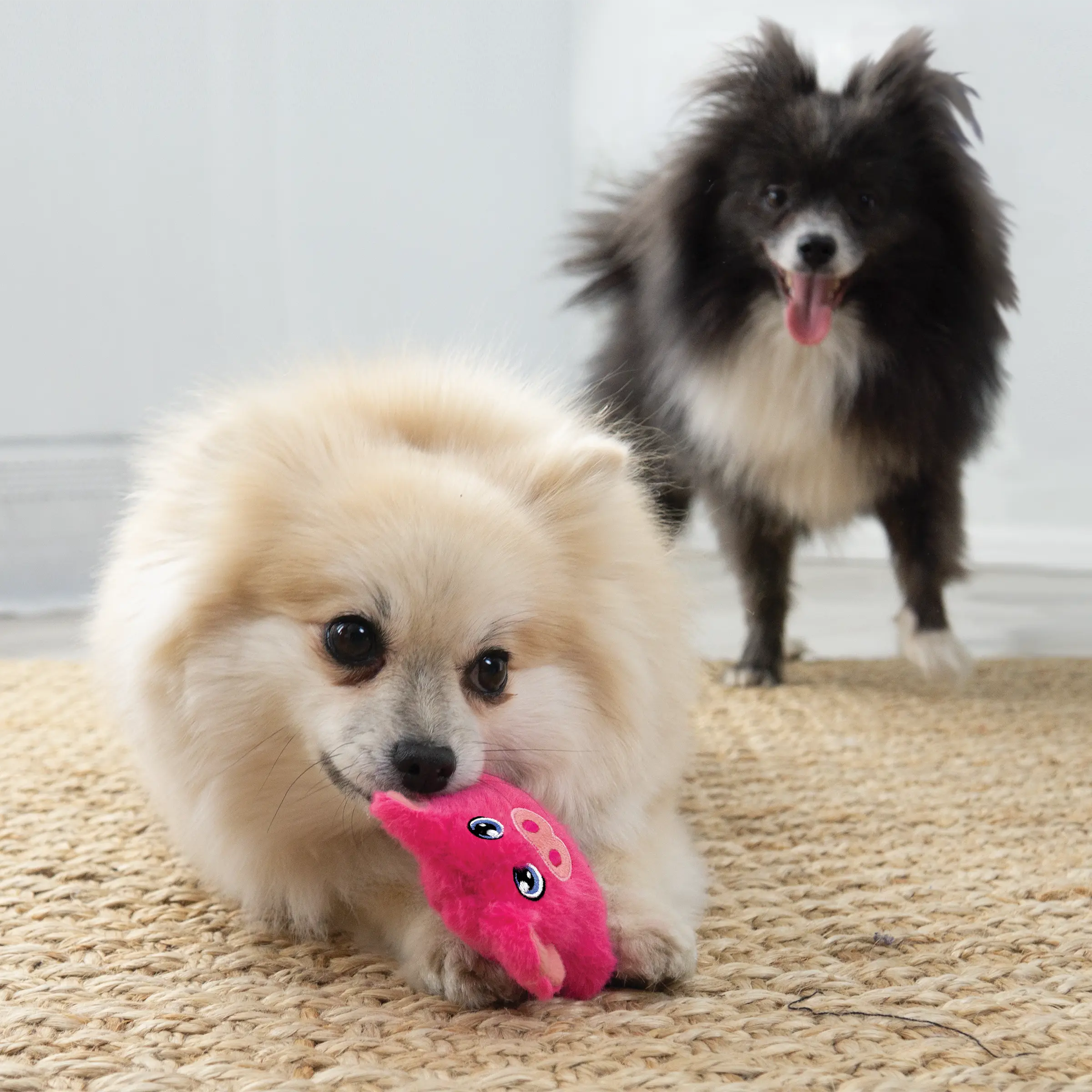 KONG - Mini Snuzzles toutou pour chien – Image 4