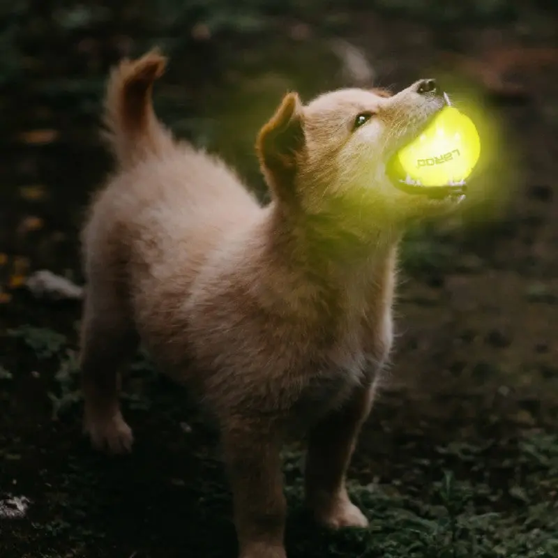 LaRoo - Balle LED qui illumine pour chien – Image 2