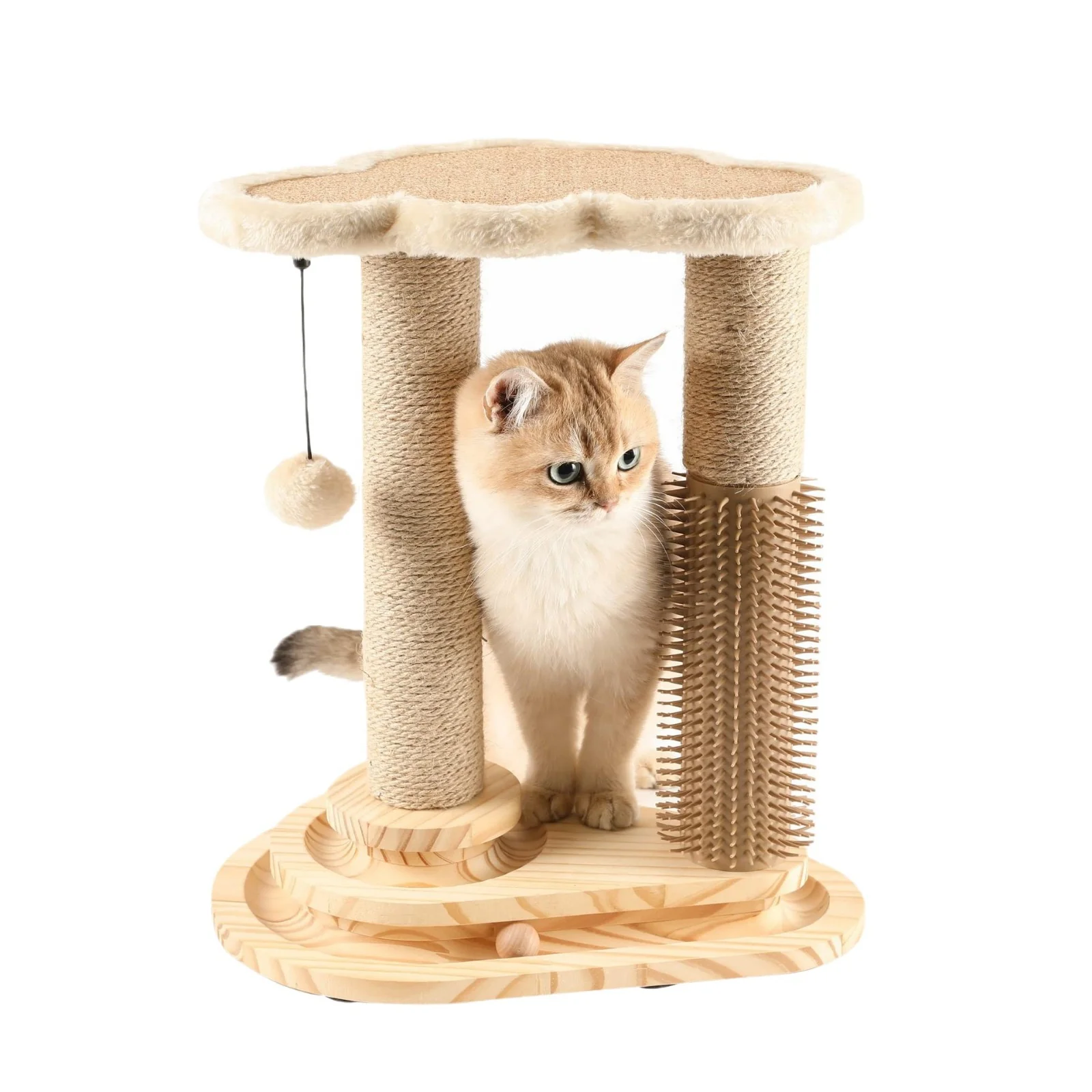 Salon de jeu et de grattage pour chats – Image 5
