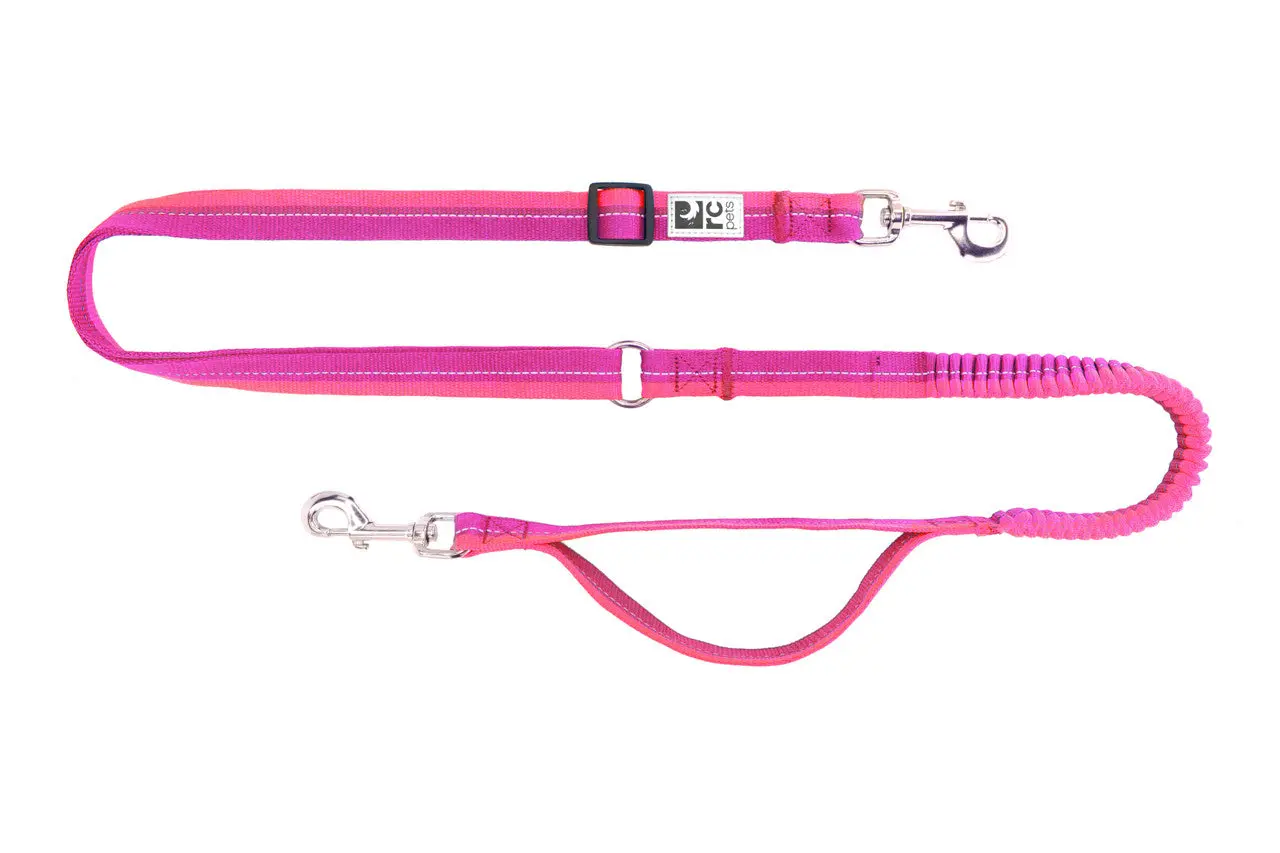 RC - Laisse Active Bungee pour chien – Image 2