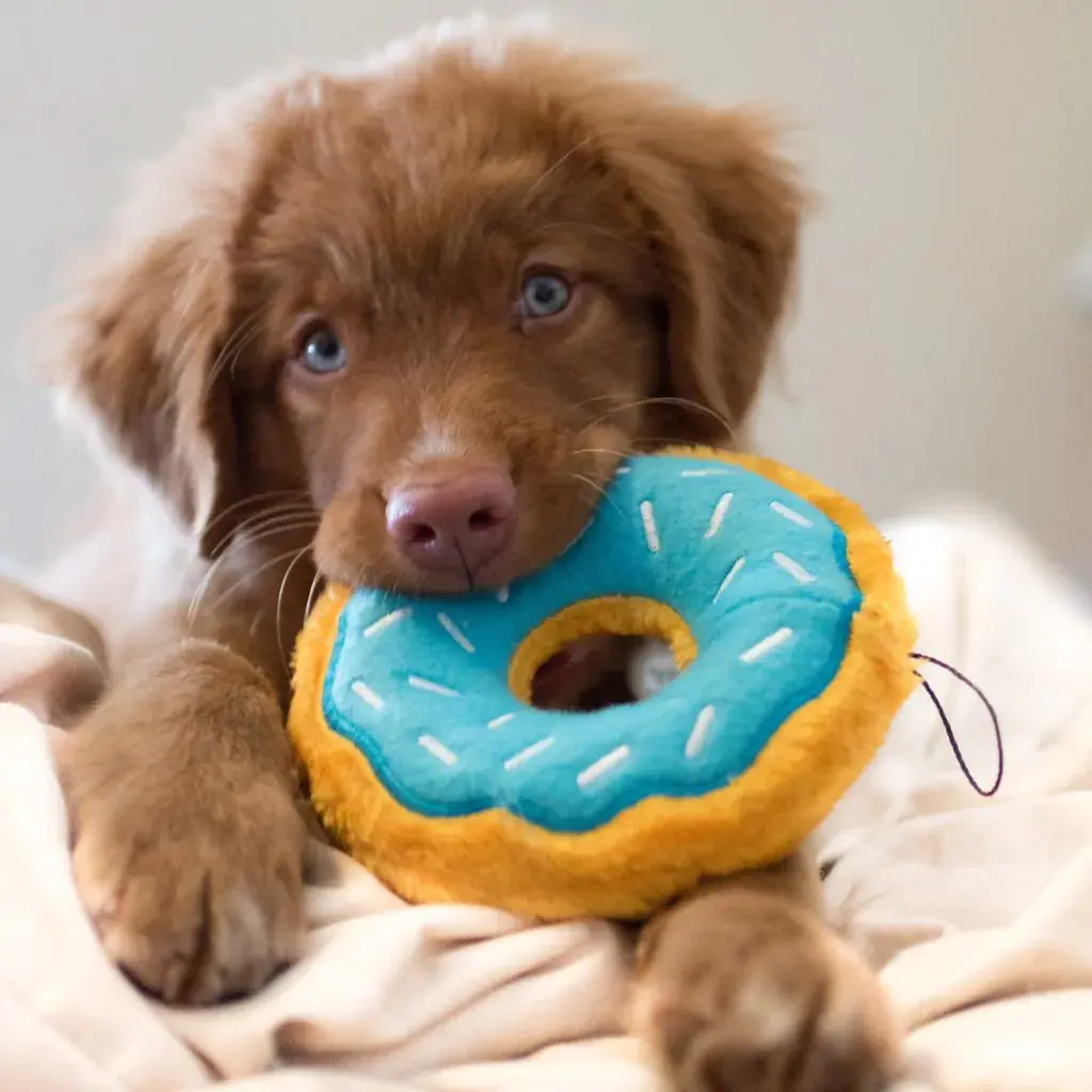 ZippyPaws - Jouet en peluche pour chiens (Donuts) – Image 3