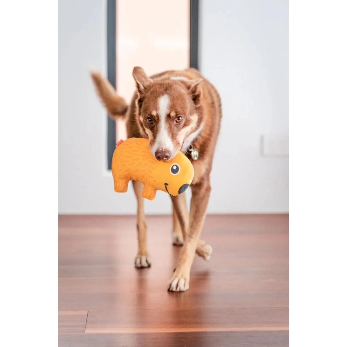 Jouet durable Wombat – Image 2